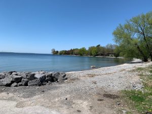 Shoreline view of Crerar Park and Reddendale Beach in Kingston, Ontario