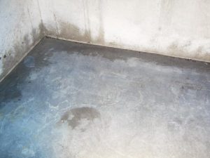 Moisture and water intrusion on a basement floor and wall in Kingston Ontario | Century 21 Lanthorn Real Estate Ltd.