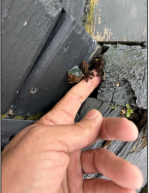 Rotting deck boards uncovered during a Kingston-area home inspection by Bill Stevenson, REALTOR® at Century 21 Lanthorn Real Estate Ltd