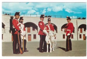Members of the Fort Henry Guard in red 19th-century British military uniforms stand on the parade square with their regimental mascot goat at Fort Henry in Kingston, Ontario.