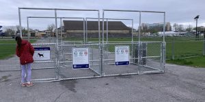 Entrance gates to Memorial Centre Off-Leash Dog Park in Kingston with posted rules and small dog area sign