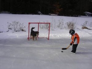 Dog standing in goal on outdoor hockey rink with child taking a shot