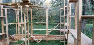Outdoor catio with climbing shelves and ramps built by Hellas Custom Catios