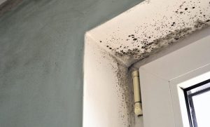 Black mould growing on bathroom wall and window frame due to poor ventilation