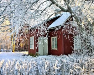 Snow-covered cottage, showing a safe and quiet retreat during cottage closing season — Bill Stevenson, REALTOR®, Century 21 Lanthorn Real Estate Ltd., Brokerage.