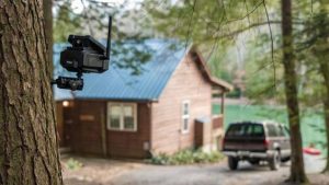 Remote security camera installed on a tree to monitor a Kingston cottage during cottage closing season — Bill Stevenson, REALTOR®, Century 21 Lanthorn Real Estate Ltd., Brokerage.