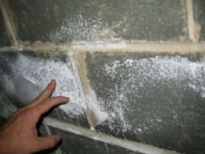 Efflorescence on basement block wall with white powdery deposits caused by moisture seepage