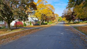 A quiet residential street in Kingston Ontario during autumn with mature trees and single family homes, Bill Stevenson REALTOR, Century 21 Lanthorn Real Estate Ltd Brokerage