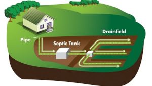 Diagram of a rural septic system with tank and drainfield in the Kingston area, Bill Stevenson REALTOR®, Century 21 Lanthorn Real Estate Ltd. Brokerage