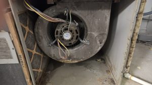 Dust covered furnace blower motor with visible water damage and corrosion found during a Kingston home inspection. Bill Stevenson, REALTOR®, Century 21 Lanthorn Real Estate Ltd, Brokerage.