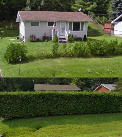 Cedar hedge landscaping growth comparison in Kingston Ontario backyard over fifteen years, Bill Stevenson, REALTOR®, Century 21 Lanthorn Real Estate Ltd., Brokerage