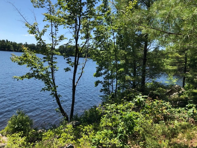 Rocky waterfront property shoreline in Kingston area showing limited building space and terrain challenges, Bill Stevenson REALTOR® Century 21 Lanthorn Real Estate Ltd Brokerage