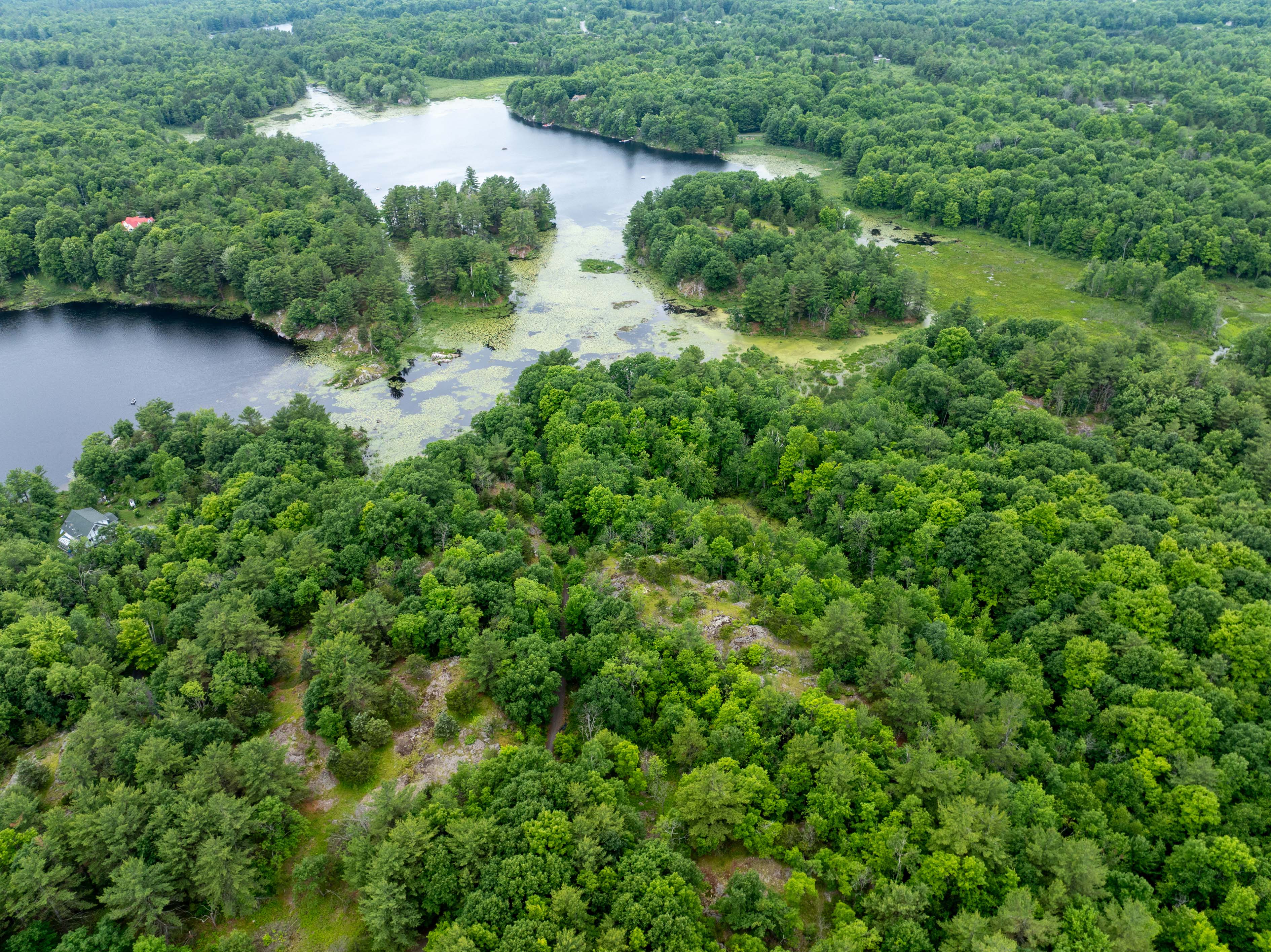 Aerial view of 11 acre waterfront property in Kingston area showing terrain, shoreline, and building potential, Bill Stevenson REALTOR® Century 21 Lanthorn Real Estate Ltd Brokerage