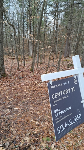 best building location vacant land Kingston Ontario real estate sign treed lot