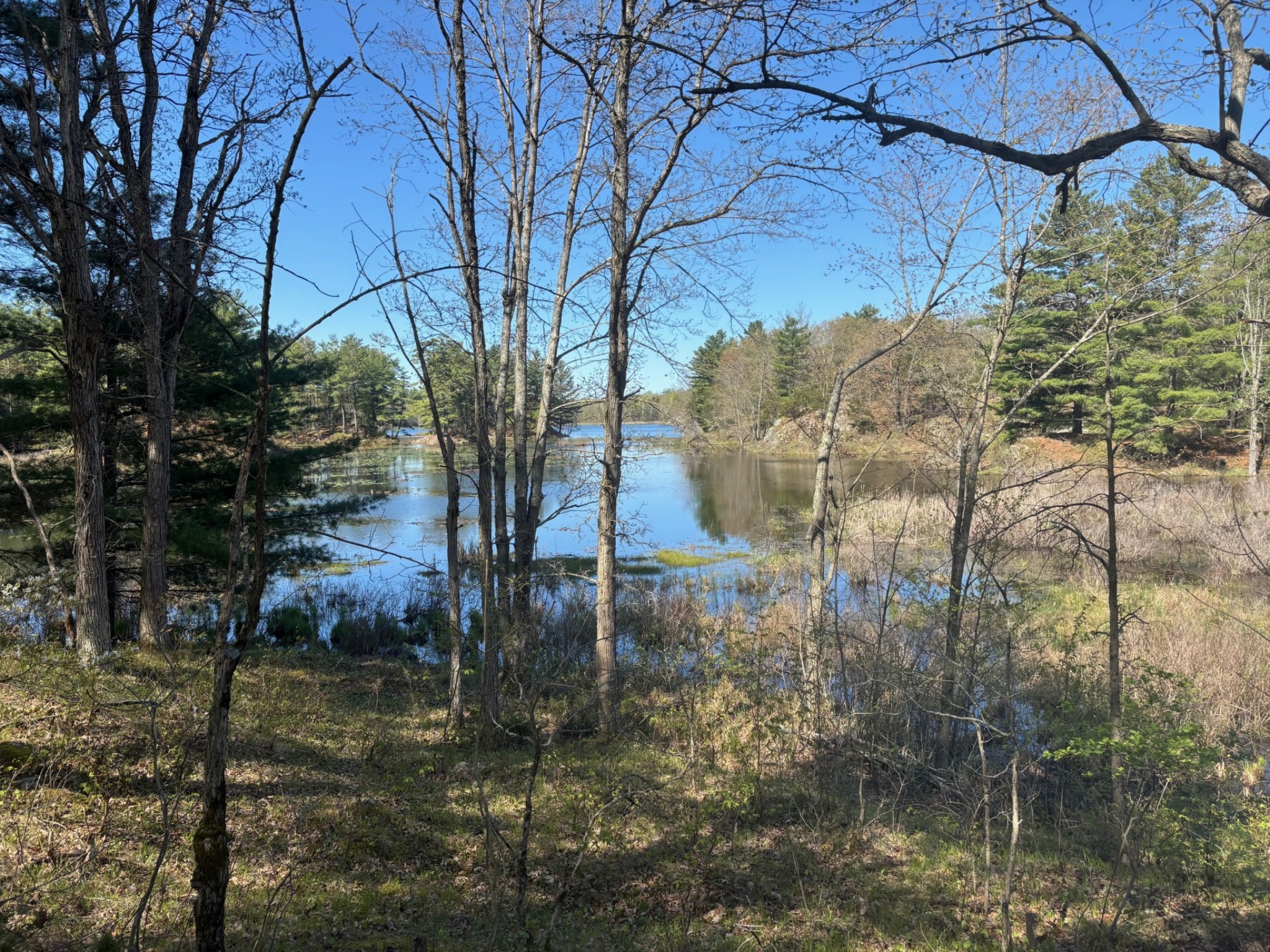 waterfront treed property Ontario access route rural land