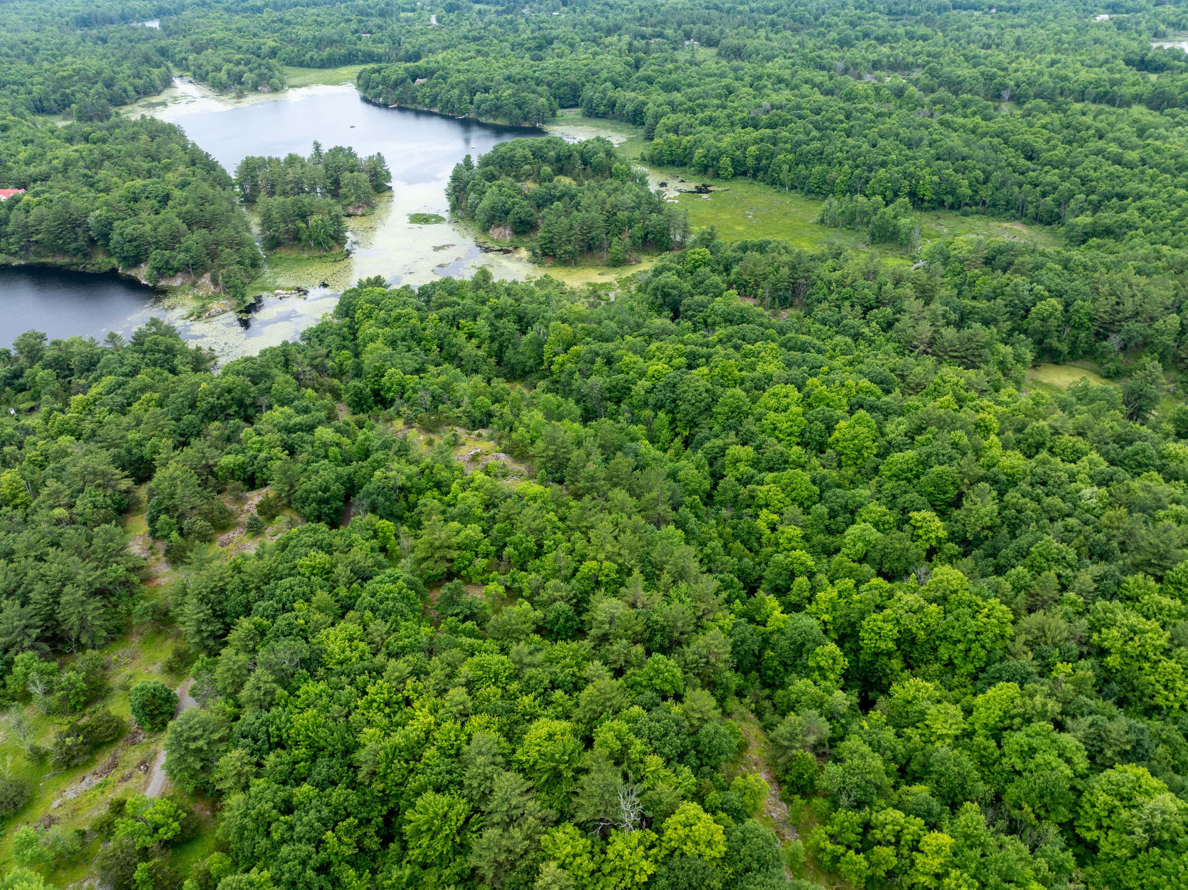 vacant land Kingston Ontario aerial view rural property forest and water features