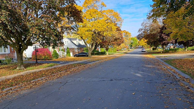 Tree lined residential street in Kingston Ontario showing established neighbo