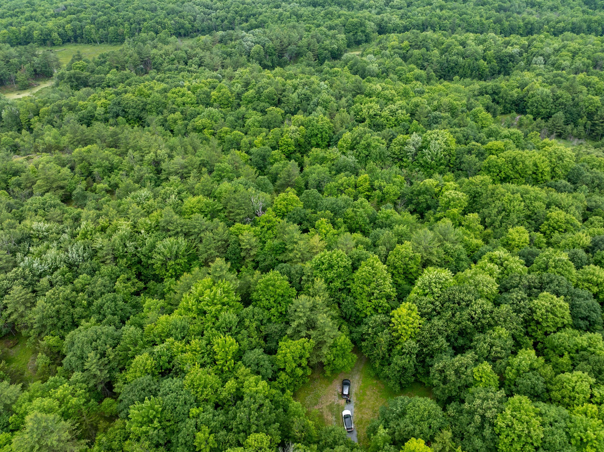 Aerial view of wooded vacant land representing closing costs for vacant land in Kingston and area